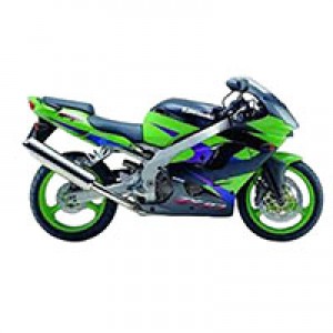 Wholesale 2002-2003 Kawasaki ZX9R Fairings