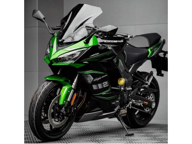 2020-2025 Kawasaki Z1000SX Motorcycle Fairing - Black Green Ninja