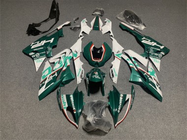 Wholesale 2017-2018 BMW S1000RR Motorcycle Fairings - White Green
