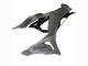2023-2025 Kawasaki ZX6R Motorcycle Fairings - Grey Ninja