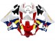 1998-1999 Honda CBR900RR 919 Motorcycle Fairings - White Red Yellow Blue