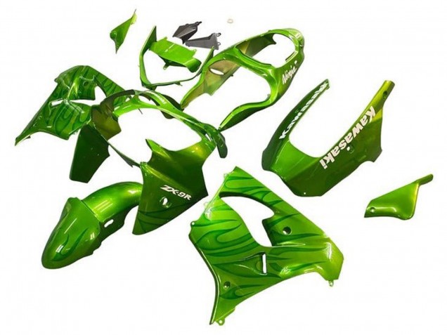 2002-2003 Kawasaki ZX9R Motorcycle Fairings - Green Flame