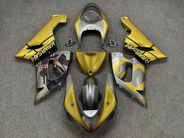 Gold and Silver 05-06 ZX6R Fairings Gold and Silver 05-06 ZX6R Fairings